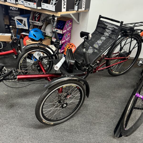 Electric Recumbent